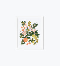 Tracy & Co Citrus Floral Art Print