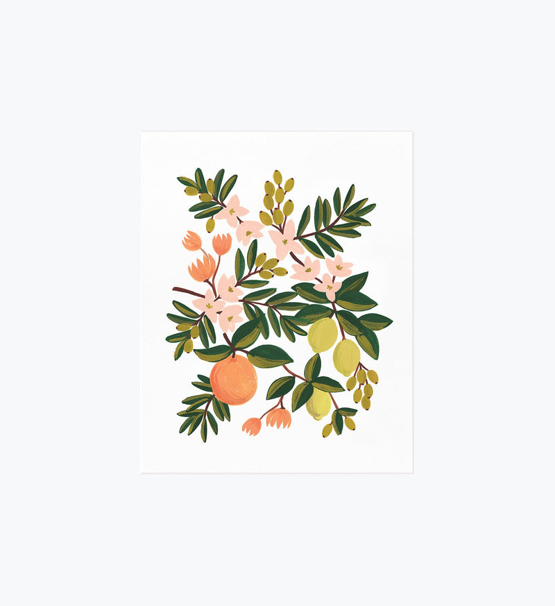 Tracy & Co Citrus Floral Art Print
