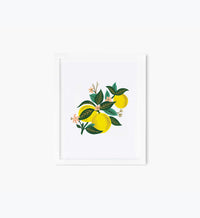 Tracy & Co Lemon Blossom Art Print