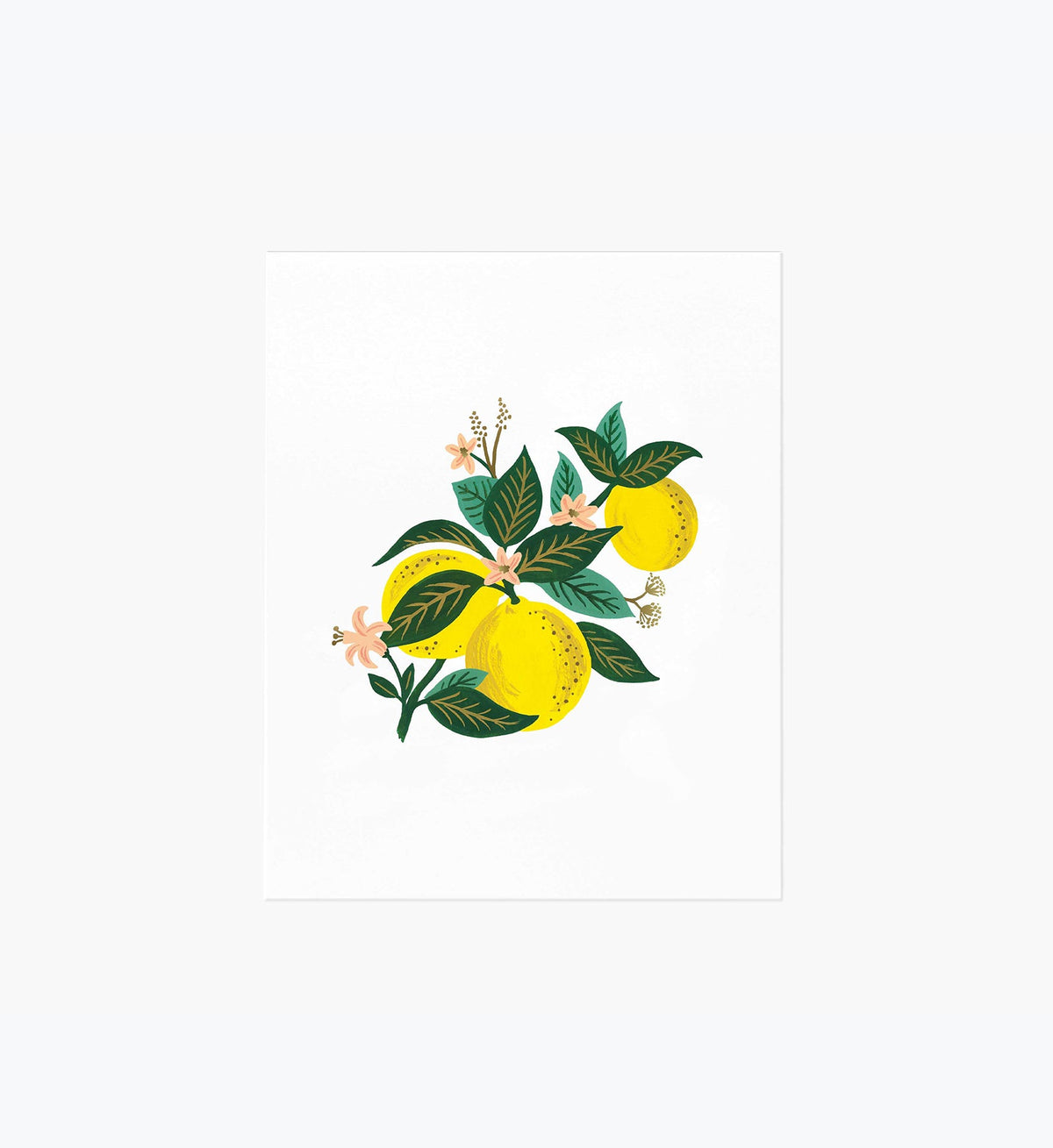 Tracy & Co Lemon Blossom Art Print