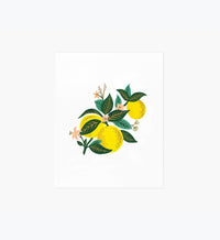 Tracy & Co Lemon Blossom Art Print