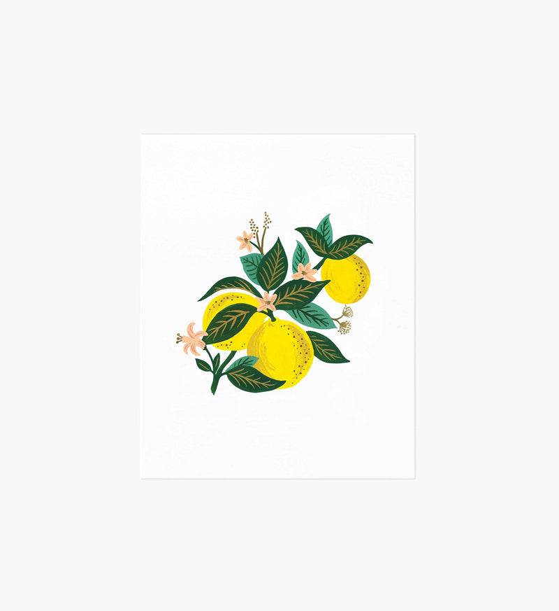 Tracy & Co Lemon Blossom Art Print
