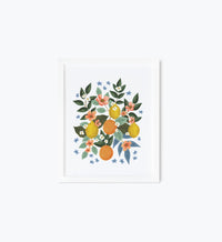 Tracy & Co Citrus Grove Cluster Art Print