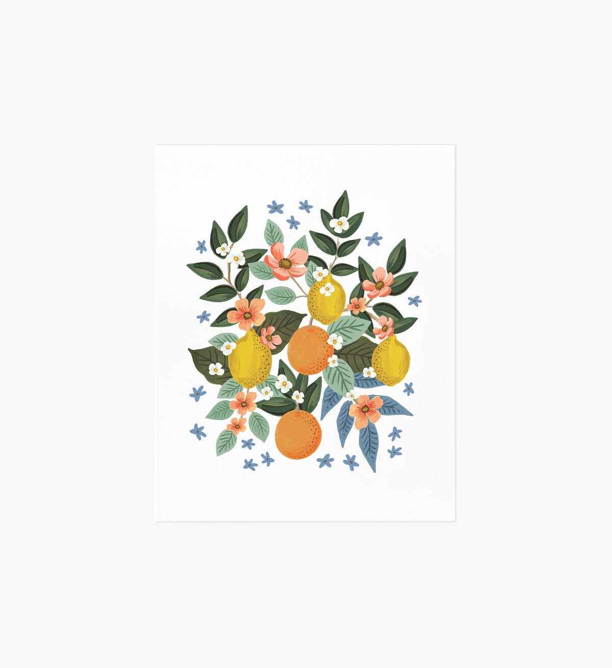 Tracy & Co Citrus Grove Cluster Art Print