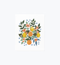 Tracy & Co Citrus Grove Cluster Art Print
