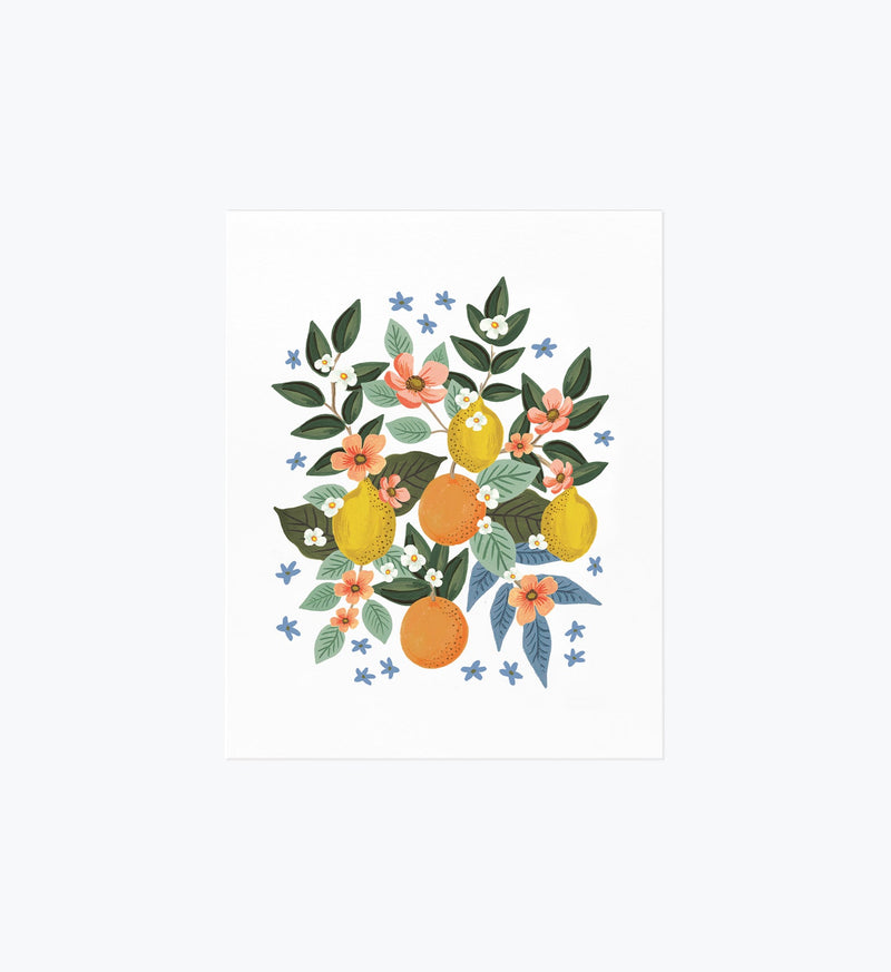 Tracy & Co Citrus Grove Cluster Art Print