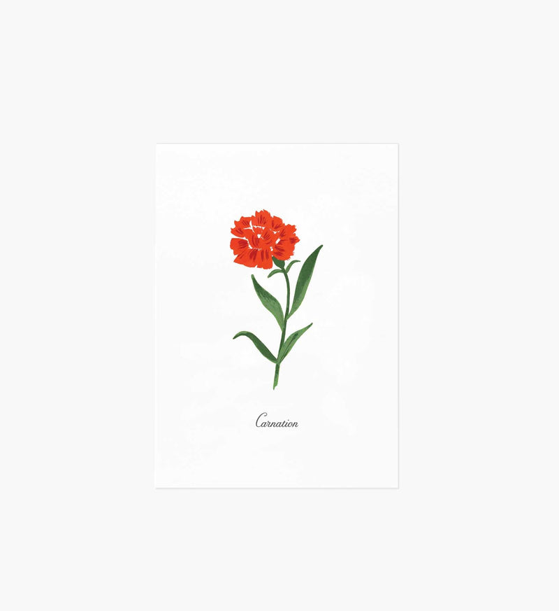 Tracy & Co Birth Month Art Print - January