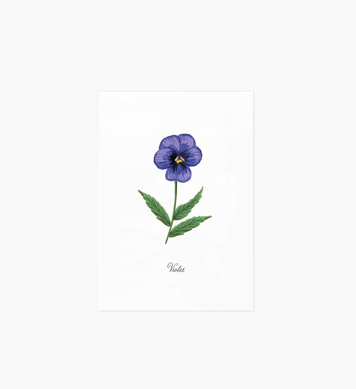 Tracy & Co Birth Month Art Print - February