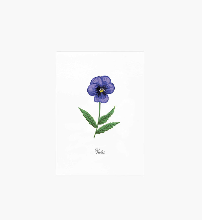 Tracy & Co Birth Month Art Print - February