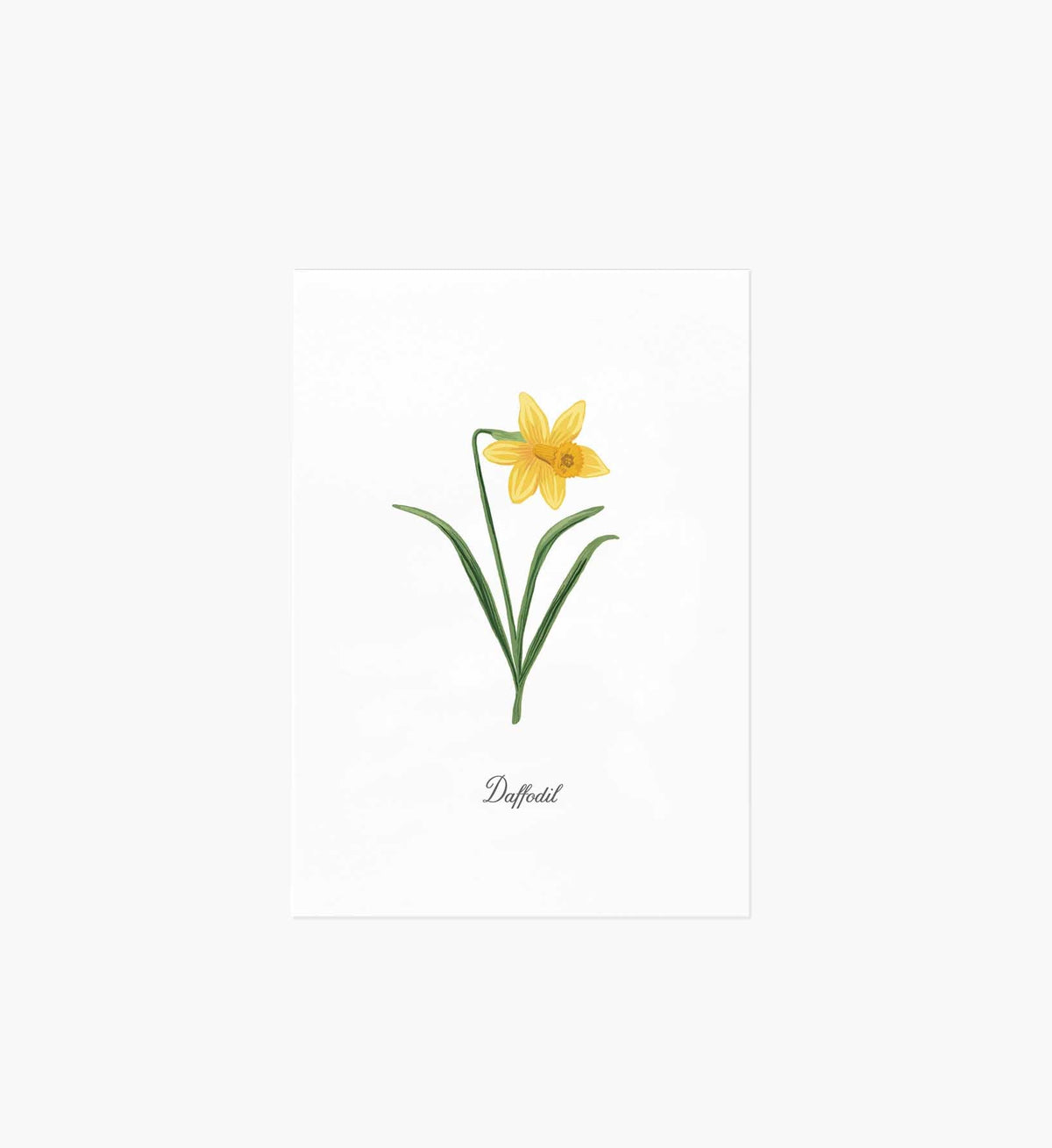 Tracy & Co Birth Month Art Print - March