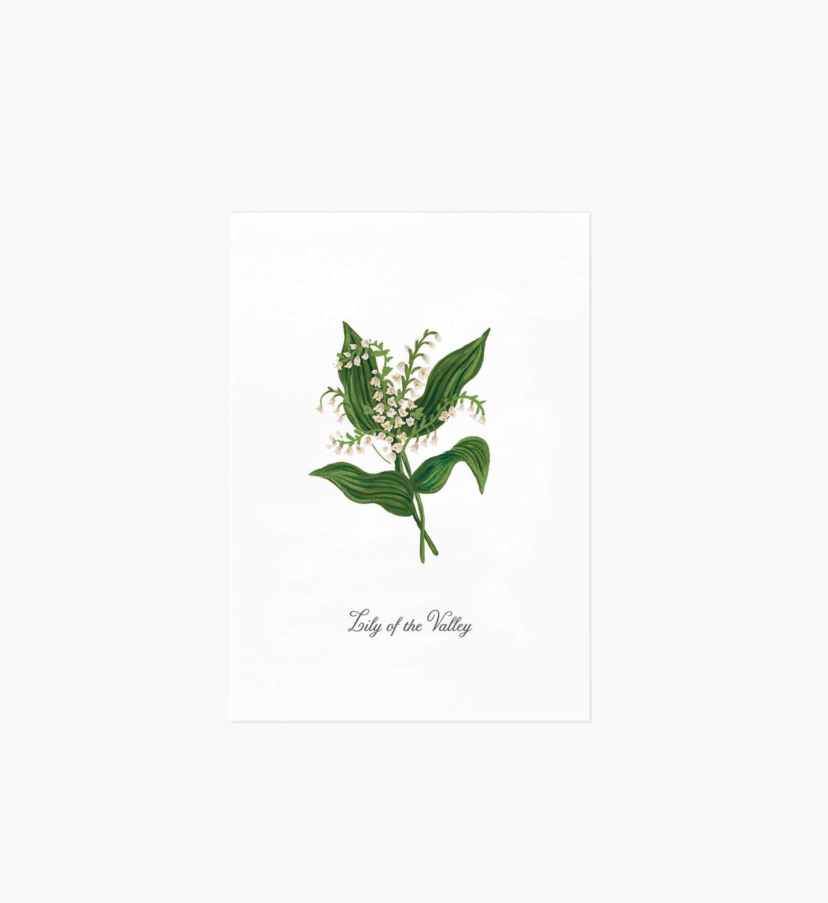Tracy & Co Birth Month Art Print - May
