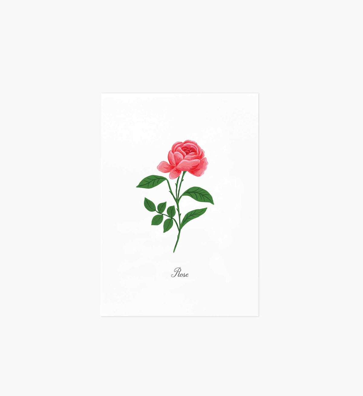 Tracy & Co Birth Month Art Print - June