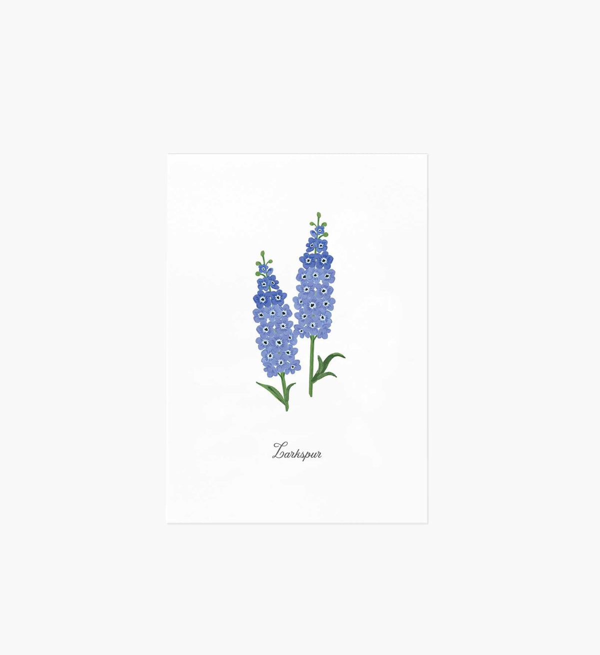 Tracy & Co Birth Month Art Print - July