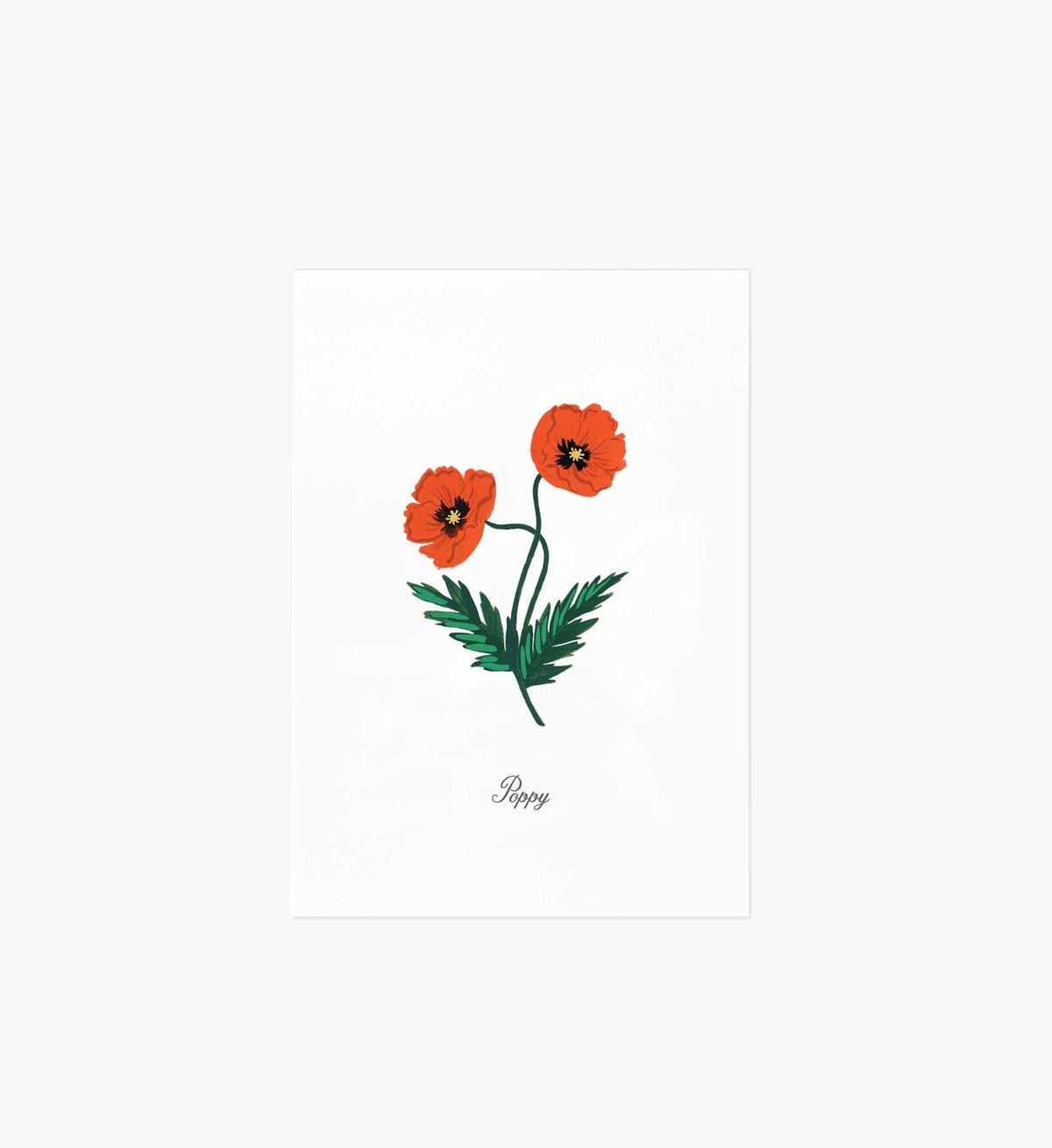 Tracy & Co Birth Month Art Print - August