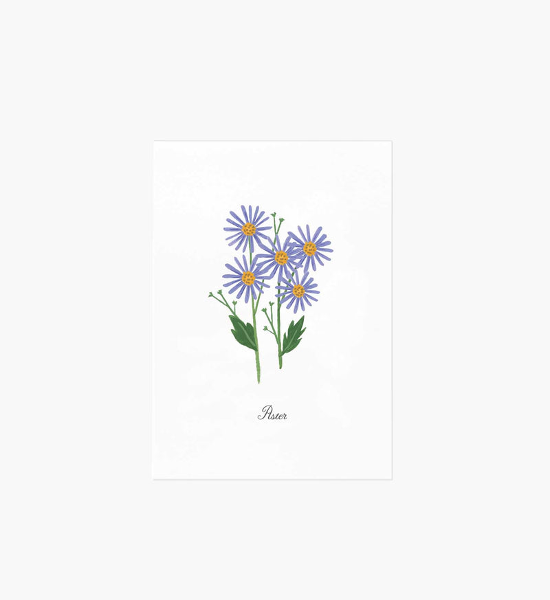 Tracy & Co Birth Month Art Print - September