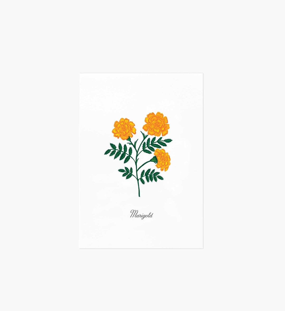 Tracy & Co Birth Month Art Print - October