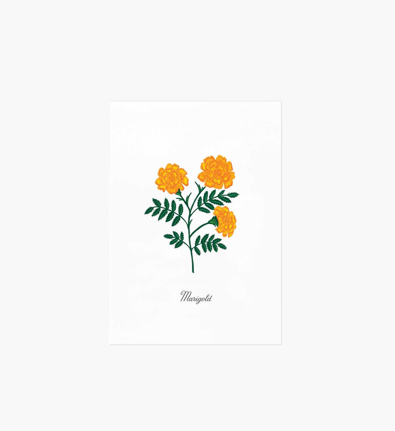 Tracy & Co Birth Month Art Print - October