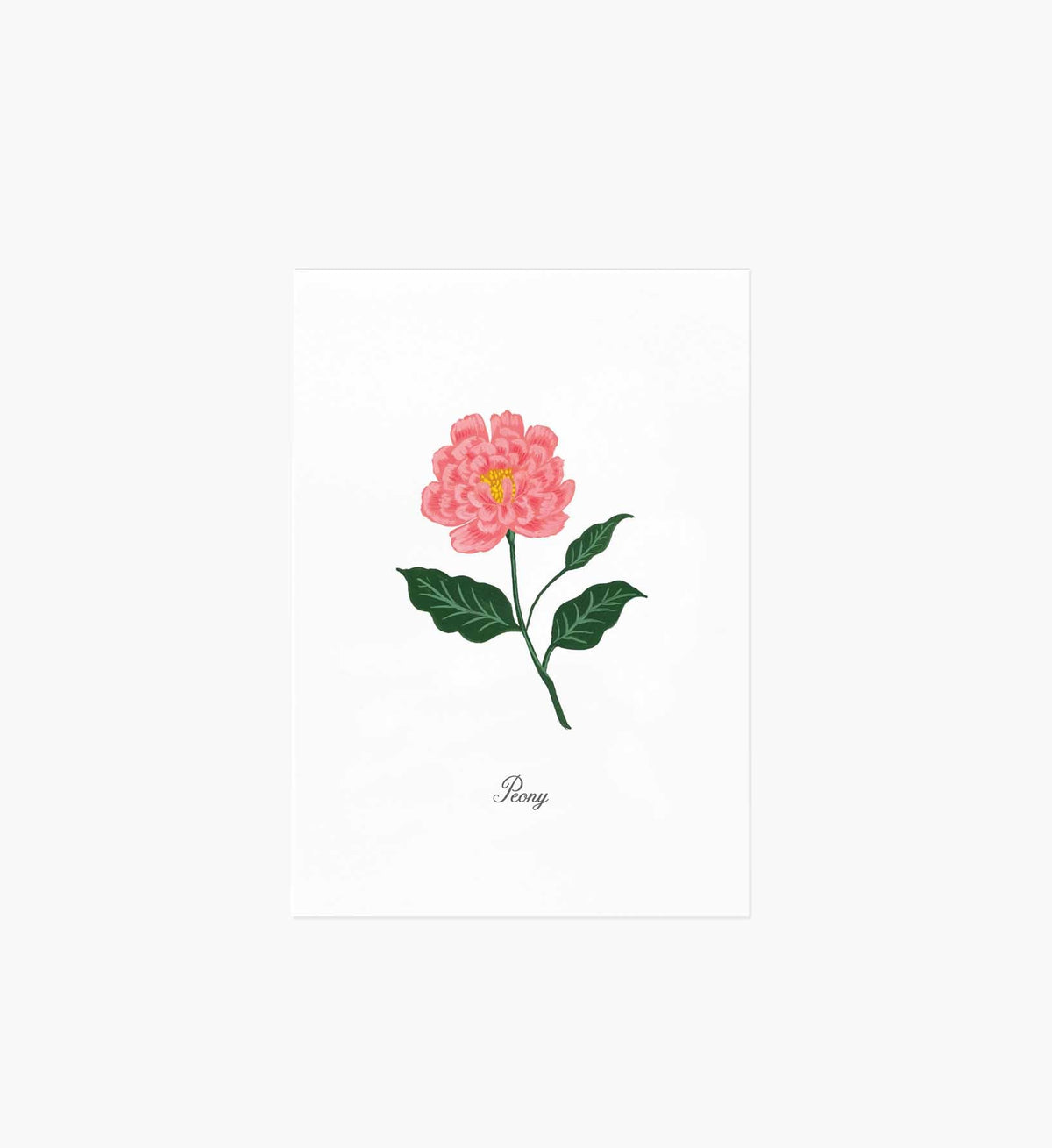 Tracy & Co Birth Month Art Print - November