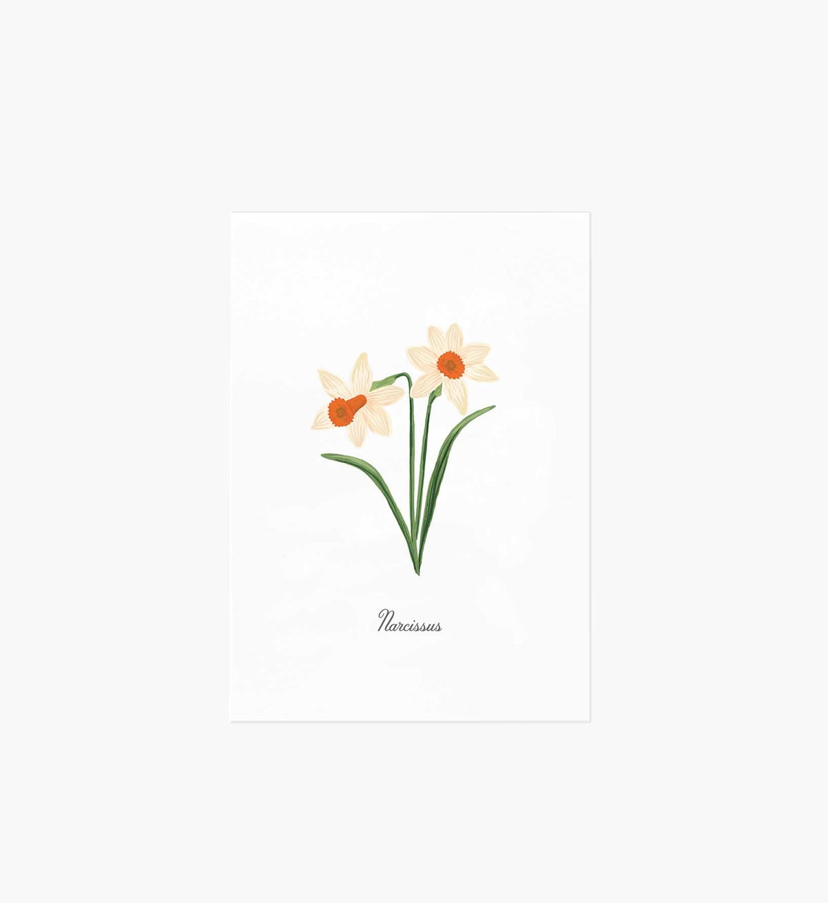 Tracy & Co Birth Month Art Print - December