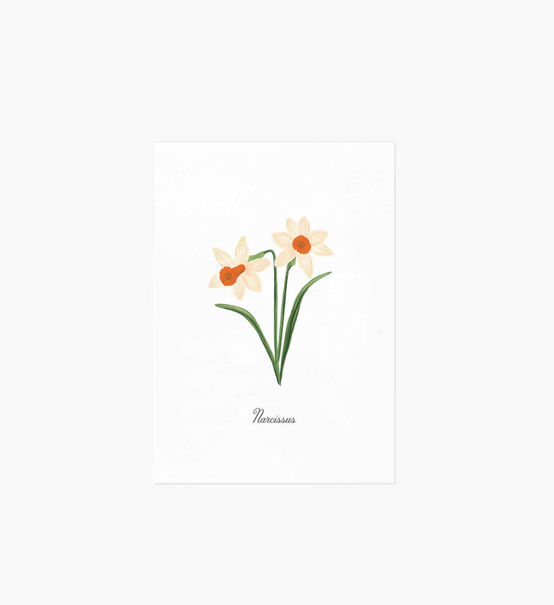 Tracy & Co Birth Month Art Print - December