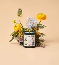 Tracy & Co 9.5 oz Candle - High Peaks of the Adirondack Forest