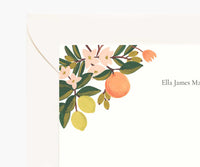 Tracy & Co Floral Personalized Stationery - Citrus Floral