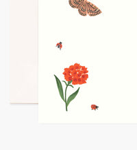 Tracy & Co Everyday Personalized Stationery - Curio