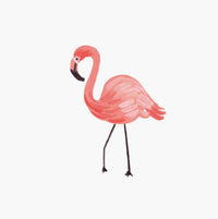 Tracy & Co Animals Personalized Stationery - Flamingo