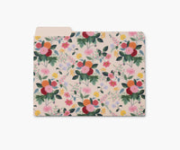 Tracy & Co Assorted File Folders - Dahlia