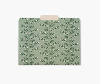 Tracy & Co Assorted File Folders - Dahlia