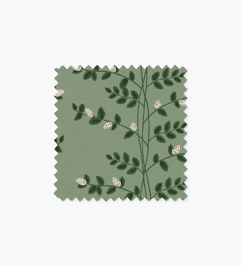 Tracy & Co Furniture Fabric Sample - Climbing Vines