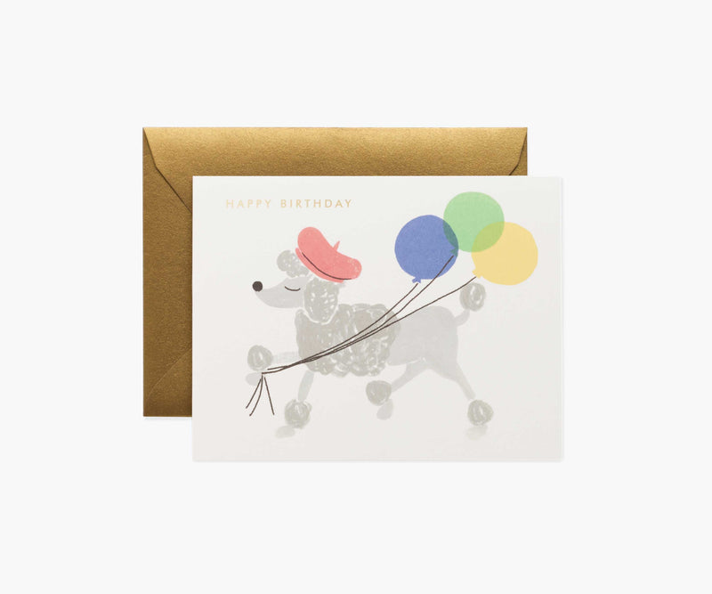 Tracy & Co French Poodle Birthday Cards - Boxed Set