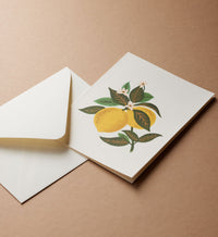 Tracy & Co Lemon Blossom Everyday Card - Single Card