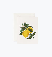 Tracy & Co Lemon Blossom Everyday Card - Single Card