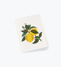 Tracy & Co Lemon Blossom Everyday Card - Single Card