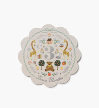 Tracy & Co Milestone Cards - Storybook