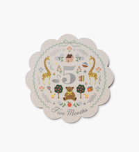 Tracy & Co Milestone Cards - Storybook