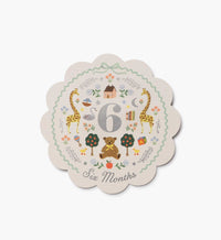 Tracy & Co Milestone Cards - Storybook