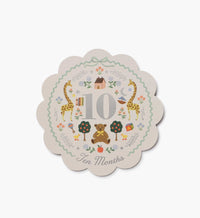 Tracy & Co Milestone Cards - Storybook