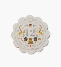 Tracy & Co Milestone Cards - Storybook