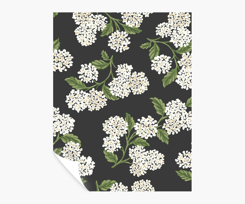 Tracy & Co Hydrangea Peel & Stick Wallpaper Sample - Black & White
