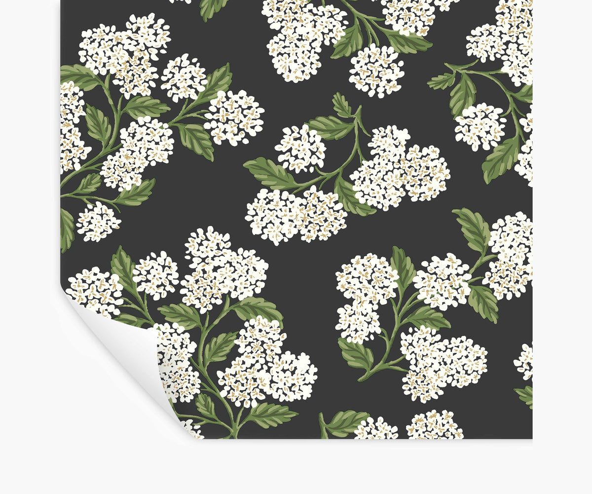 Tracy & Co Hydrangea Peel & Stick Wallpaper - Black & White