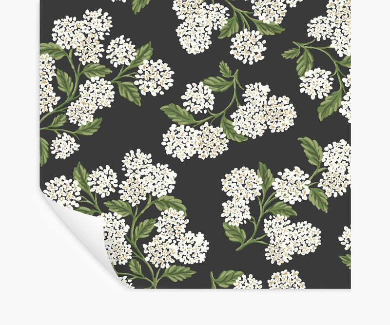 Tracy & Co Hydrangea Peel & Stick Wallpaper - Black & White