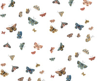 Tracy & Co Butterfly House Peel & Stick Wallpaper - White