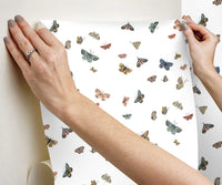 Tracy & Co Butterfly House Peel & Stick Wallpaper - White