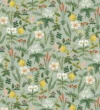 Tracy & Co Herb Garden Peel & Stick Wallpaper Sample - Sage