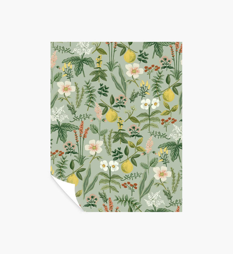 Tracy & Co Herb Garden Peel & Stick Wallpaper Sample - Sage