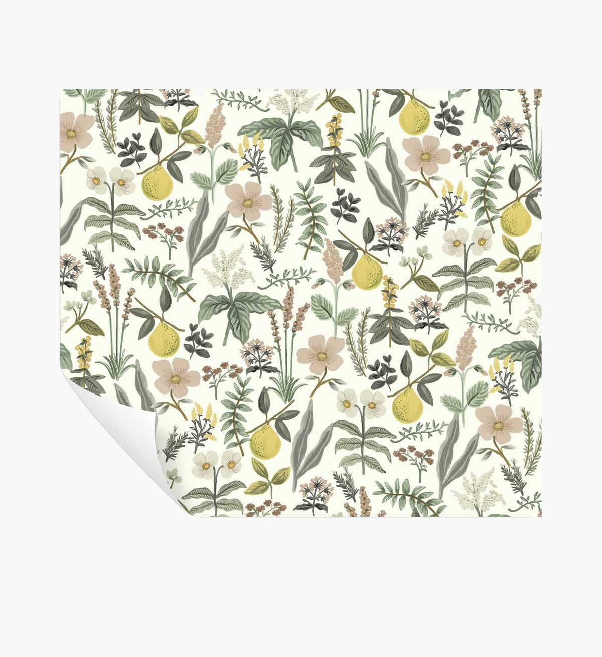 Tracy & Co Herb Garden Peel & Stick Wallpaper - Cream
