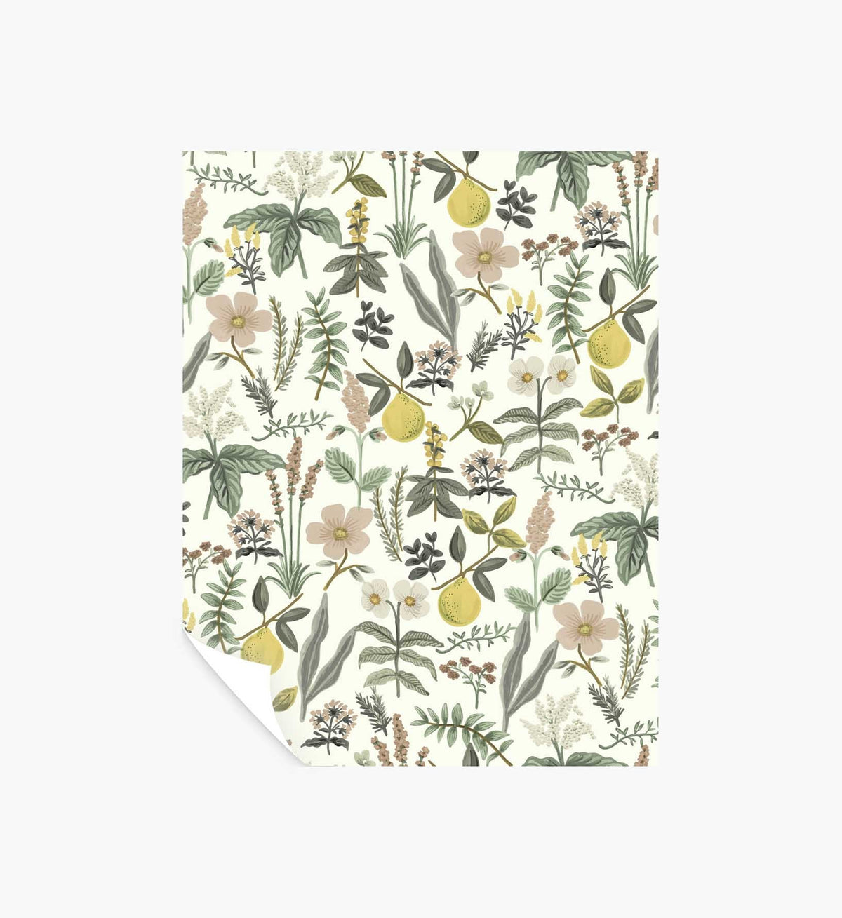 Tracy & Co Herb Garden Peel & Stick Wallpaper Sample - Cream