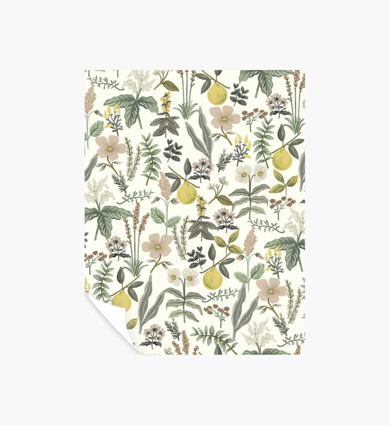 Tracy & Co Herb Garden Peel & Stick Wallpaper Sample - Cream